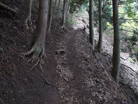 20151021hike (81)